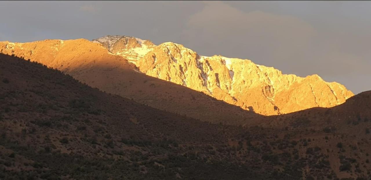 Willa Refugio Cordillera Flora Endogena Bosque Esclerofilo San José de Maipo Zewnętrze zdjęcie